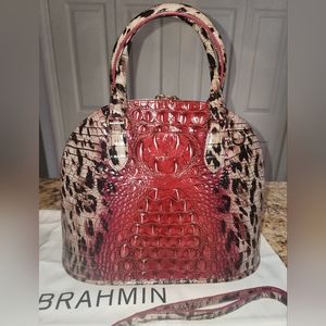 Brahmin Georgina